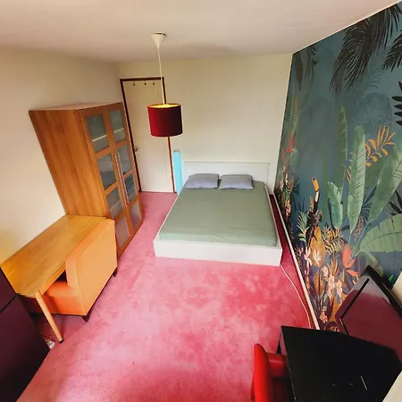 Homestay High Five *